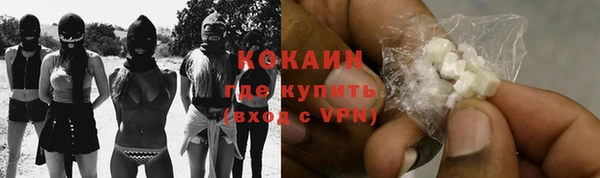 твердый Абаза