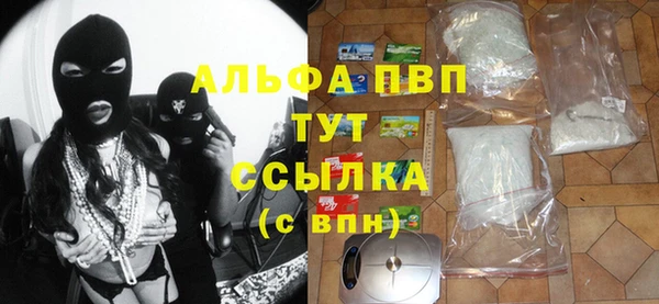 твердый Абаза