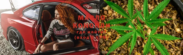 гидра Осинники