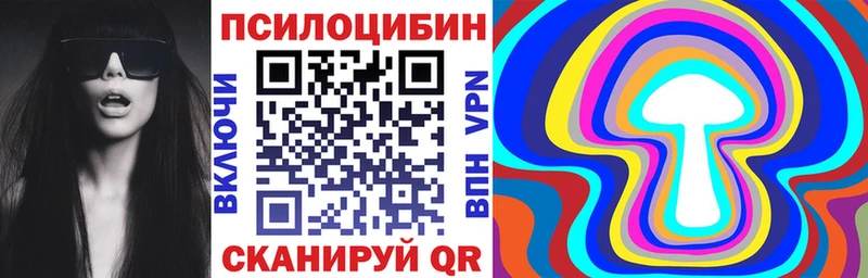 Галлюциногенные грибы Psilocybine cubensis  мега вход  Алатырь 